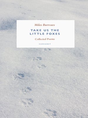 cover image of Take us the Little Foxes